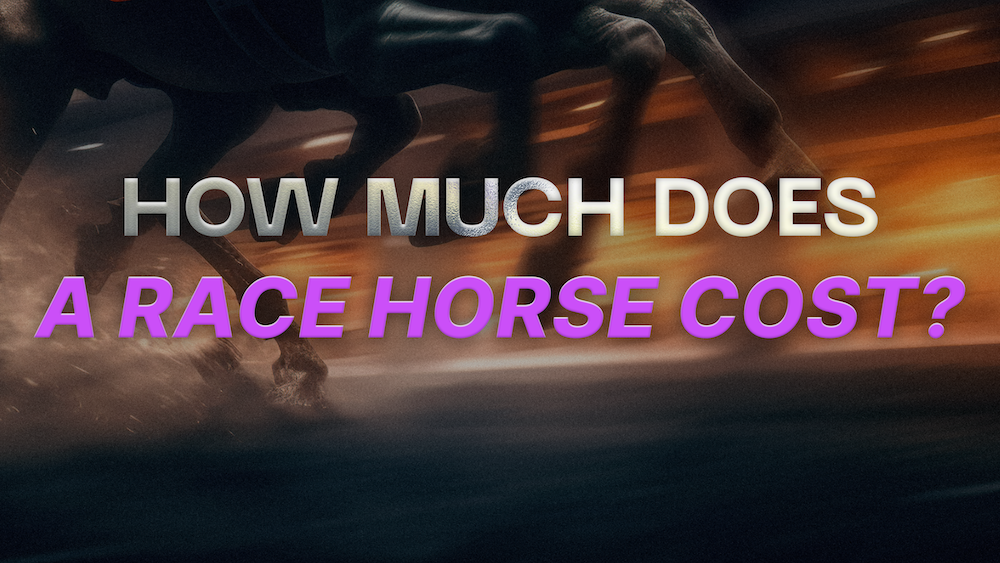 How much does a racehorse cost? Stables Blog